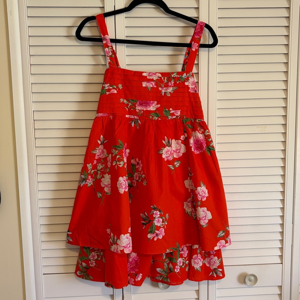 Francesca’s Dress